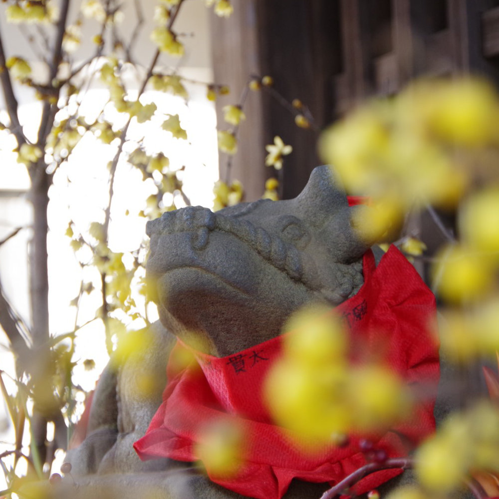 Karamiのアイコン